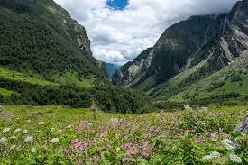 Valley of Flowers
